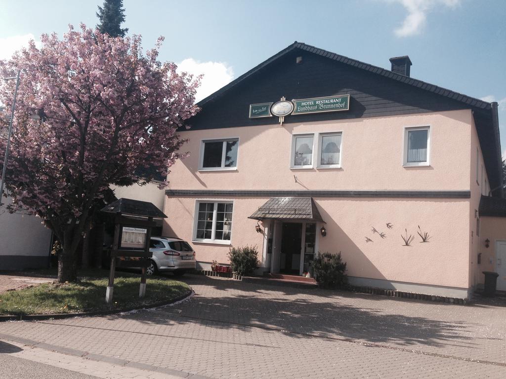 Landhaus-Brunnenhof Olzheim Екстериор снимка