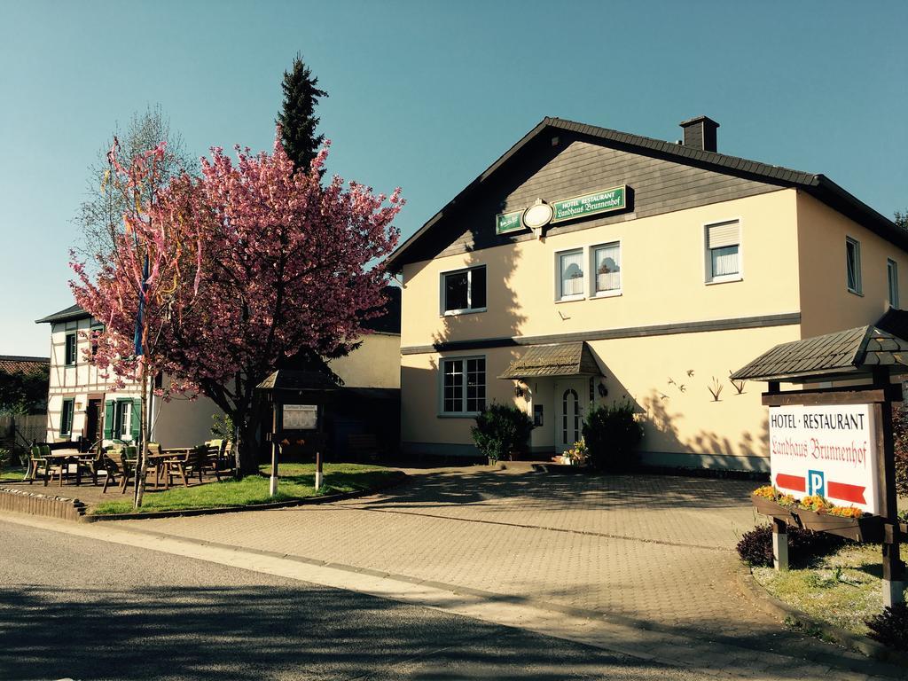 Landhaus-Brunnenhof Olzheim Екстериор снимка